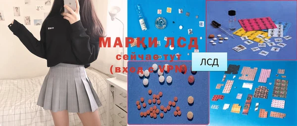 сатива Елабуга