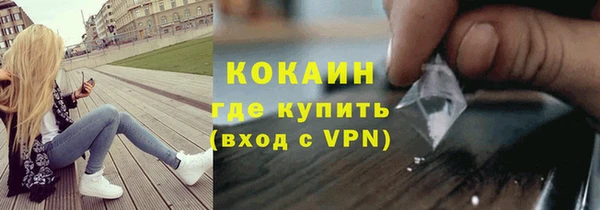 гидра Ельня