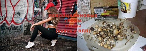 прущий лед Алзамай