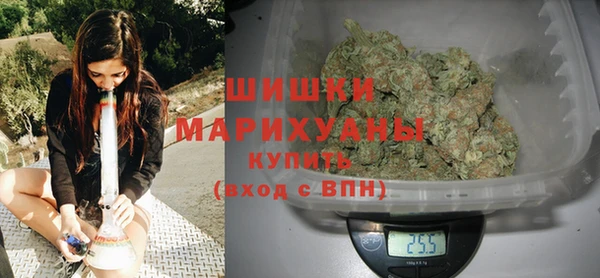 МДПВ Дмитриев