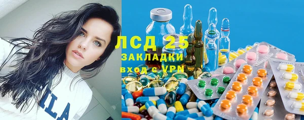 прущий лед Алзамай