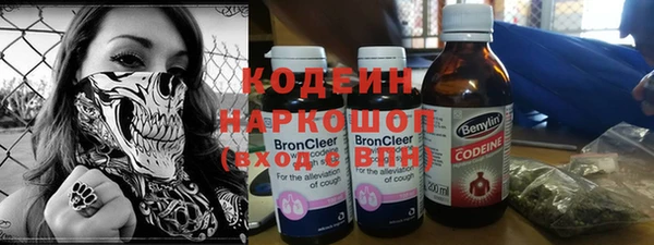 молекула духа Козловка