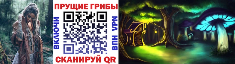 darknet наркотические препараты  Ачхой-Мартан  Галлюциногенные грибы MAGIC MUSHROOMS 